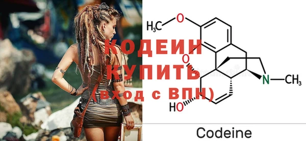 дживик Балахна