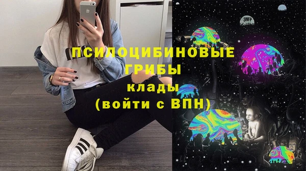 дживик Балахна
