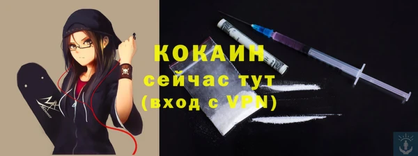 дживик Балахна