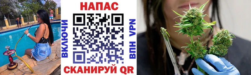 МАРИХУАНА планчик нарко площадка клад Городовиковск